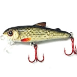 Bullet Lures- Five-o Minnow Roach