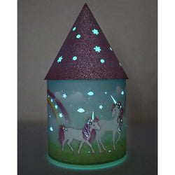 Pink Poppy Light Up Fantasy Lanterns