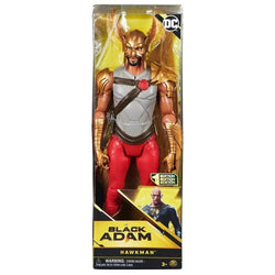 Black Adam 12 Inch Figurine